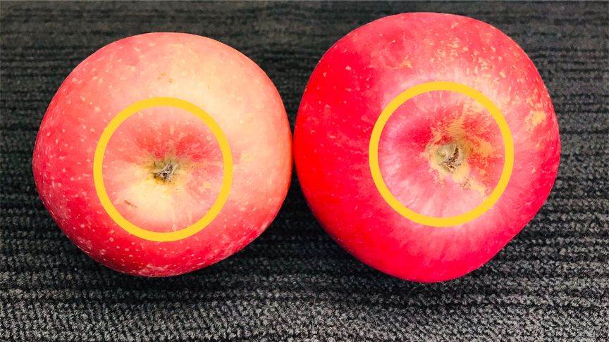 蘋果如何看甜不甜，牢記這3點，輕松分辨