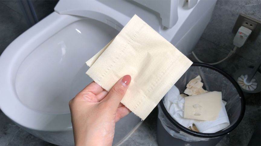 每次上完廁所，衛生紙該扔紙簍還是馬桶好呢？若不注意廁所異味重