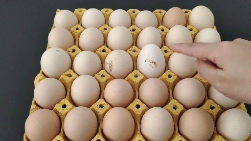 原來保存雞蛋這麼簡單，放1個月照樣新鮮，再也不怕漲價了