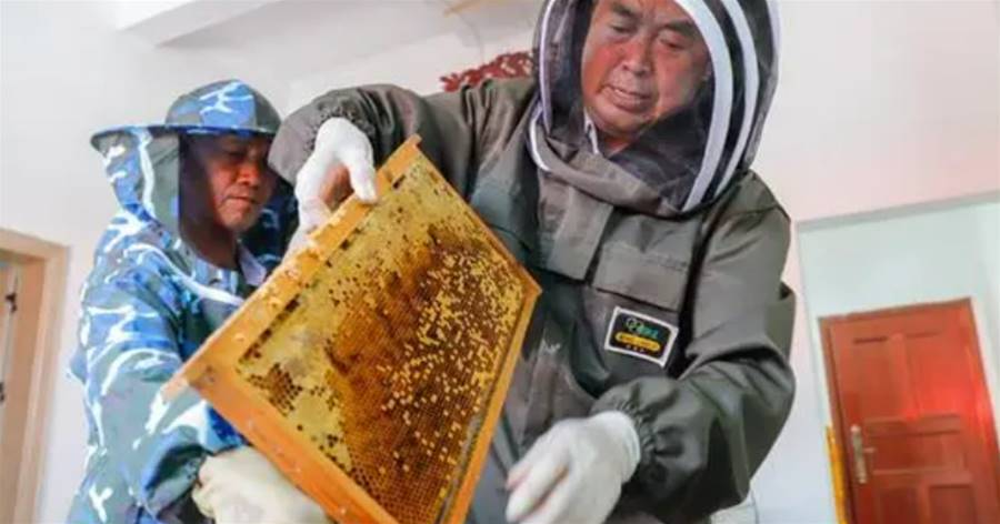 60歲蜂農1根筷子教你挑優質蜂蜜，隱藏3大秘密一說就懂，拒絕假貨